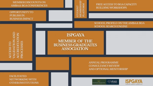 ISPGAYA integrates AMBA and BGA